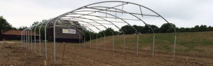 Polytunnel-frame-LR