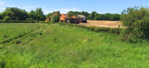 farm-field
