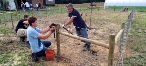fencing