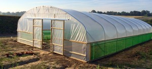 polytunnel